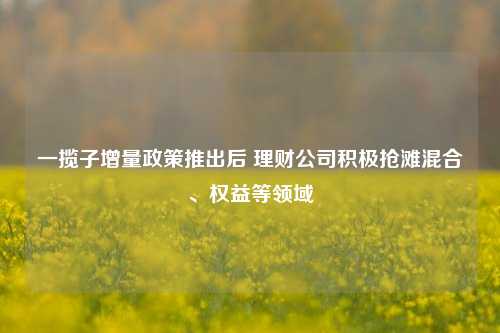 一揽子增量政策推出后 理财公司积极抢滩混合、权益等领域