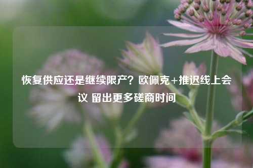 恢复供应还是继续限产？欧佩克+推迟线上会议 留出更多磋商时间