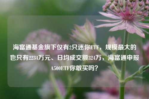 海富通基金旗下仅有2只迷你ETF，规模最大的也只有2234万元、日均成交额324万，海富通申报A500ETF你敢买吗？