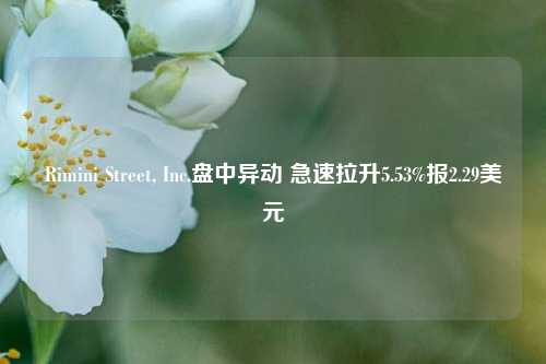 Rimini Street, Inc.盘中异动 急速拉升5.53%报2.29美元