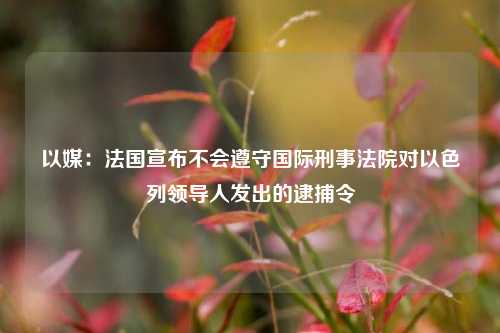 以媒：法国宣布不会遵守国际刑事法院对以色列领导人发出的逮捕令