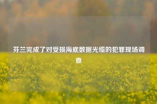 芬兰完成了对受损海底数据光缆的犯罪现场调查