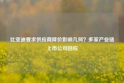 比亚迪要求供应商降价影响几何？多家产业链上市公司回应