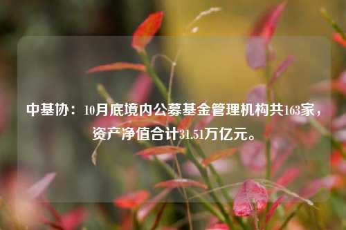 中基协：10月底境内公募基金管理机构共163家，资产净值合计31.51万亿元。