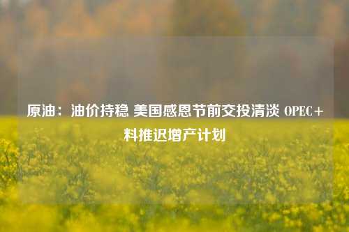 原油：油价持稳 美国感恩节前交投清淡 OPEC+料推迟增产计划