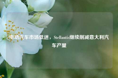 电动汽车市场低迷，Stellantis继续削减意大利汽车产量