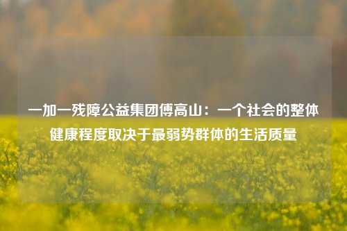 一加一残障公益集团傅高山：一个社会的整体健康程度取决于最弱势群体的生活质量