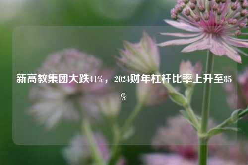 新高教集团大跌41%，2024财年杠杆比率上升至85%