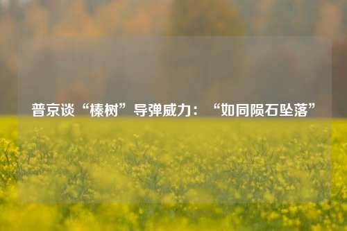 普京谈“榛树”导弹威力：“如同陨石坠落”