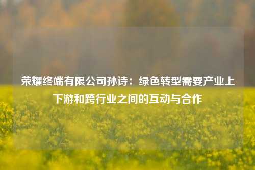 荣耀终端有限公司孙诗：绿色转型需要产业上下游和跨行业之间的互动与合作