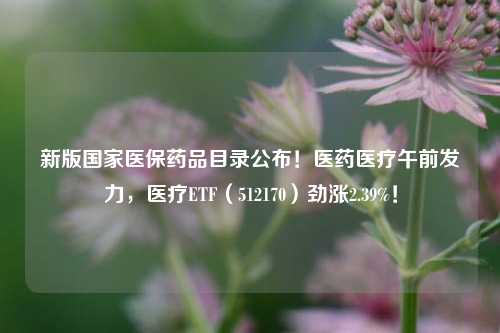 新版国家医保药品目录公布！医药医疗午前发力，医疗ETF（512170）劲涨2.39%！