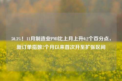 50.3%！11月制造业PMI比上月上升0.2个百分点，新订单指数7个月以来首次升至扩张区间