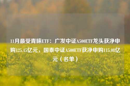 11月最受青睐ETF：广发中证A500ETF龙头获净申购125.45亿元，国泰中证A500ETF获净申购115.08亿元（名单）