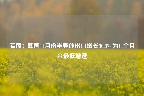 看图：韩国11月份半导体出口增长30.8% 为11个月来最低增速