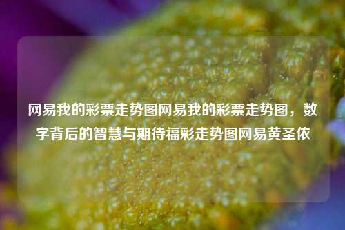 网易我的彩票走势图网易我的彩票走势图，数字背后的智慧与期待福彩走势图网易黄圣依