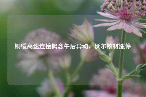 铜缆高速连接概念午后异动，沃尔核材涨停