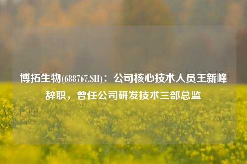 博拓生物(688767.SH)：公司核心技术人员王新峰辞职，曾任公司研发技术三部总监