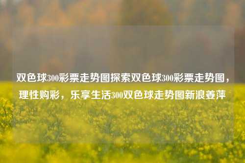 双色球300彩票走势图探索双色球300彩票走势图，理性购彩，乐享生活300双色球走势图新浪姜萍