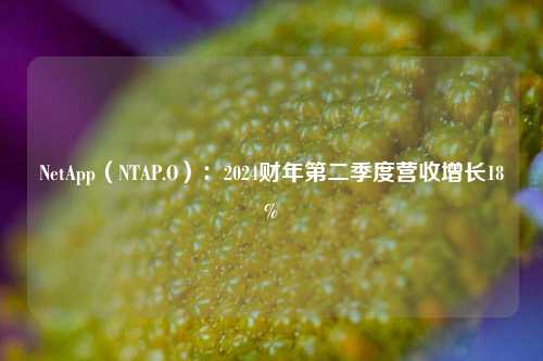 NetApp（NTAP.O）：2024财年第二季度营收增长18%