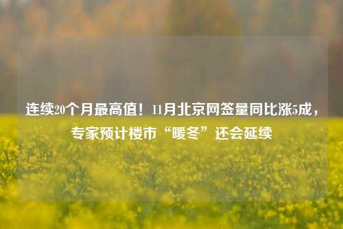 连续20个月最高值！11月北京网签量同比涨5成，专家预计楼市“暖冬”还会延续