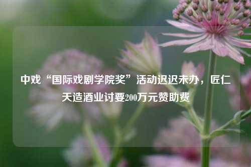 中戏“国际戏剧学院奖”活动迟迟未办，匠仁天造酒业讨要200万元赞助费