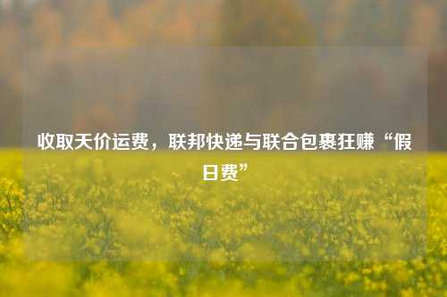 收取天价运费，联邦快递与联合包裹狂赚“假日费”