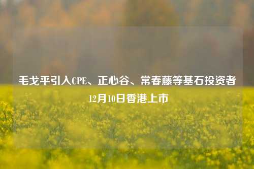 毛戈平引入CPE、正心谷、常春藤等基石投资者 12月10日香港上市