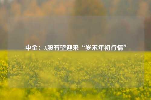 中金：A股有望迎来“岁末年初行情”