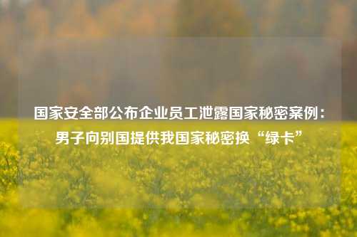 国家安全部公布企业员工泄露国家秘密案例：男子向别国提供我国家秘密换“绿卡”