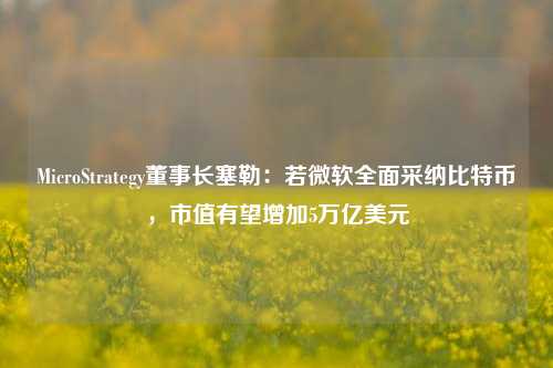 MicroStrategy董事长塞勒：若微软全面采纳比特币，市值有望增加5万亿美元