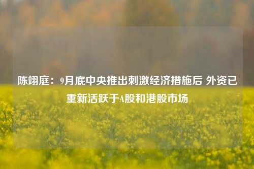 陈翊庭：9月底中央推出刺激经济措施后 外资已重新活跃于A股和港股市场