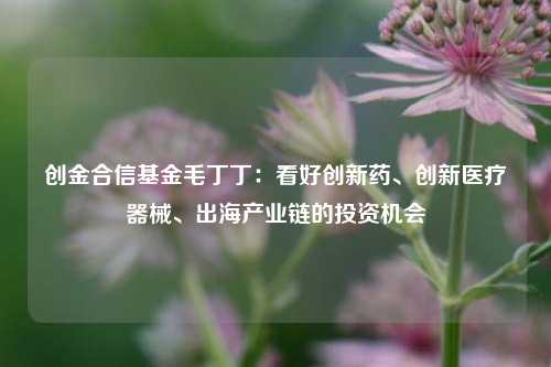 创金合信基金毛丁丁：看好创新药、创新医疗器械、出海产业链的投资机会