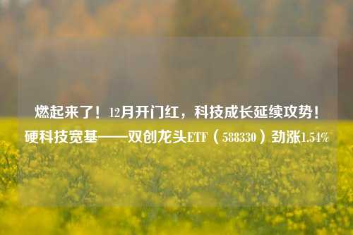 燃起来了！12月开门红，科技成长延续攻势！硬科技宽基——双创龙头ETF（588330）劲涨1.54%