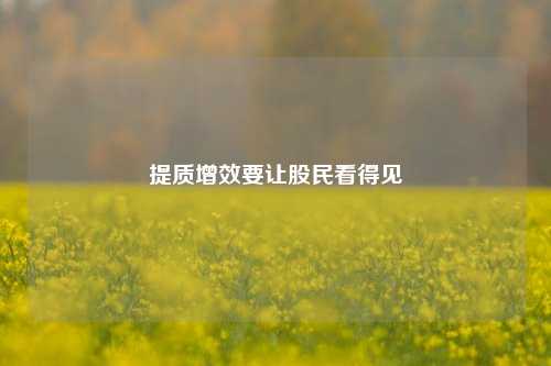 提质增效要让股民看得见