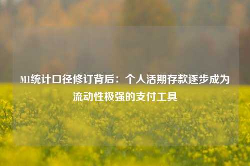 M1统计口径修订背后：个人活期存款逐步成为流动性极强的支付工具