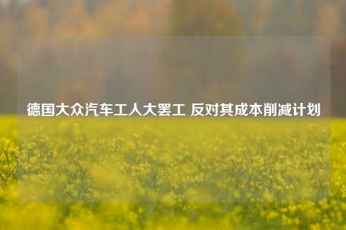 德国大众汽车工人大罢工 反对其成本削减计划