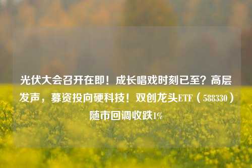 光伏大会召开在即！成长唱戏时刻已至？高层发声，募资投向硬科技！双创龙头ETF（588330）随市回调收跌1%