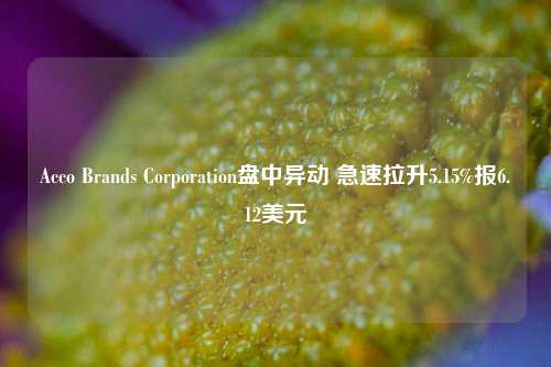 Acco Brands Corporation盘中异动 急速拉升5.15%报6.12美元