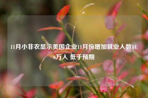 11月小非农显示美国企业11月份增加就业人数14.6万人 低于预期