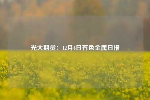 光大期货：12月4日有色金属日报