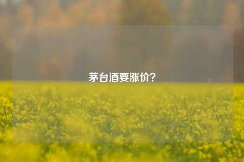 茅台酒要涨价？