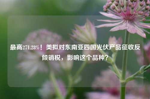 最高271.28%！美拟对东南亚四国光伏产品征收反倾销税，影响这个品种？