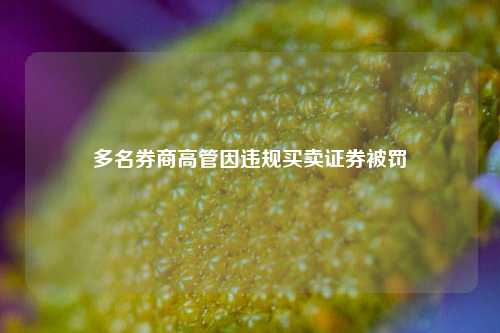 多名券商高管因违规买卖证券被罚