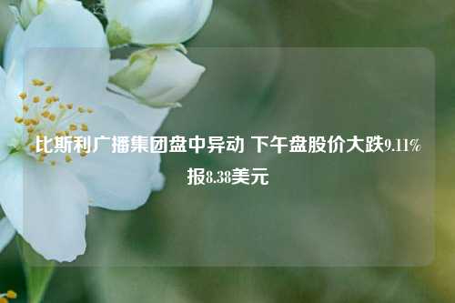 比斯利广播集团盘中异动 下午盘股价大跌9.11%报8.38美元