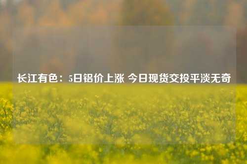 长江有色：5日铝价上涨 今日现货交投平淡无奇