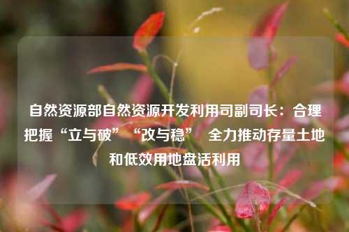 自然资源部自然资源开发利用司副司长：合理把握“立与破”“改与稳”  全力推动存量土地和低效用地盘活利用