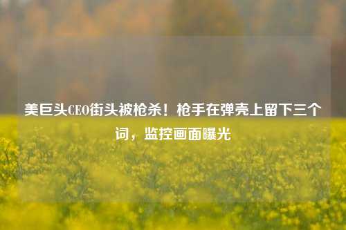 美巨头CEO街头被枪杀！枪手在弹壳上留下三个词，监控画面曝光