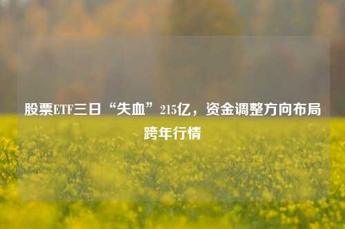 股票ETF三日“失血”215亿，资金调整方向布局跨年行情