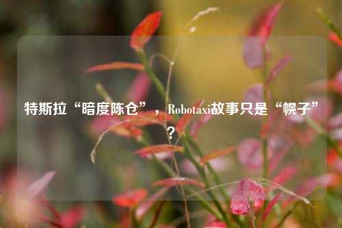 特斯拉“暗度陈仓”，Robotaxi故事只是“幌子”？