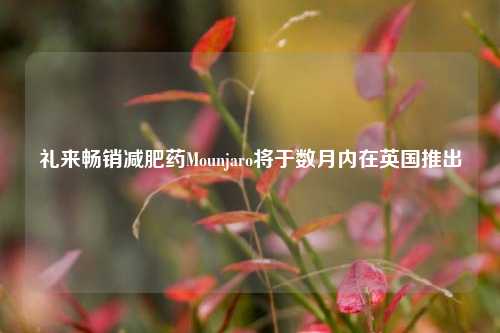 礼来畅销减肥药Mounjaro将于数月内在英国推出